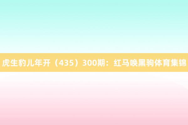 虎生豹儿年开（435）　　300期：红马唤黑驹体育集锦