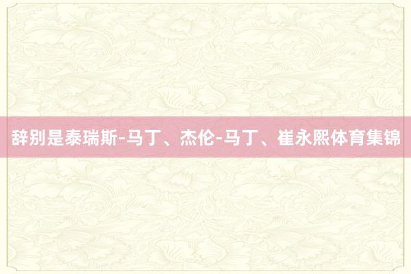 辞别是泰瑞斯-马丁、杰伦-马丁、崔永熙体育集锦
