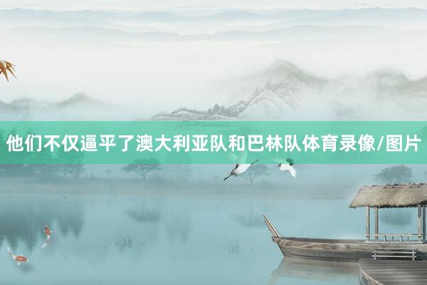 他们不仅逼平了澳大利亚队和巴林队体育录像/图片