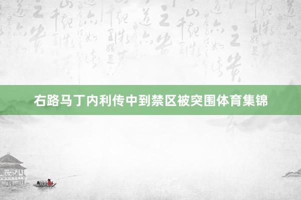 右路马丁内利传中到禁区被突围体育集锦