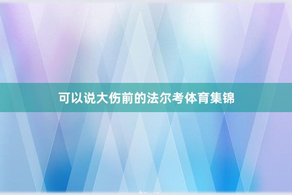 可以说大伤前的法尔考体育集锦