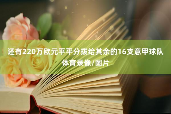 还有220万欧元平平分拨给其余的16支意甲球队体育录像/图片