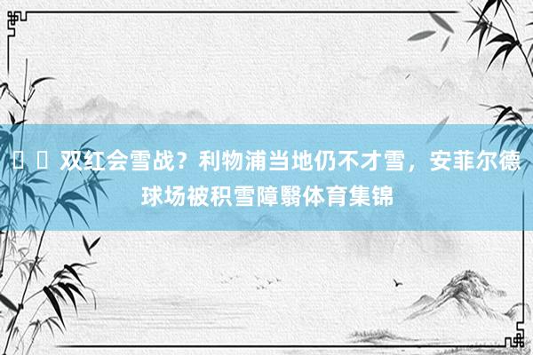 ❄️双红会雪战？利物浦当地仍不才雪，安菲尔德球场被积雪障翳体育集锦