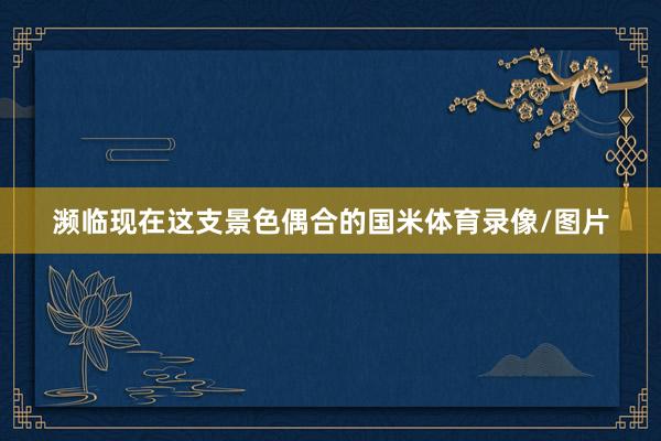 濒临现在这支景色偶合的国米体育录像/图片