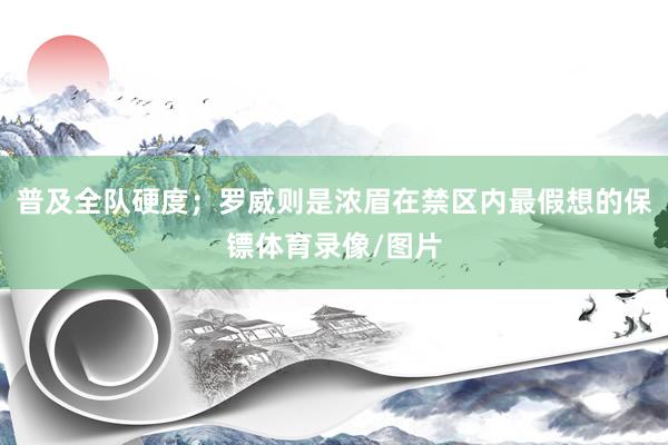 普及全队硬度；罗威则是浓眉在禁区内最假想的保镖体育录像/图片