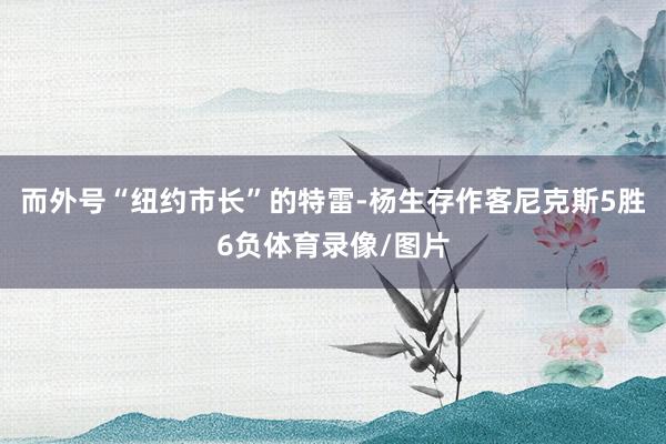 而外号“纽约市长”的特雷-杨生存作客尼克斯5胜6负体育录像/图片