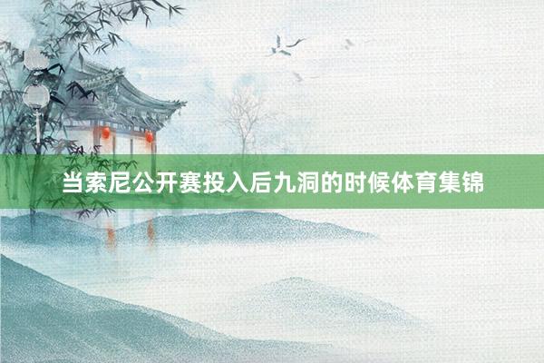 当索尼公开赛投入后九洞的时候体育集锦