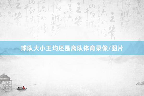 球队大小王均还是离队体育录像/图片