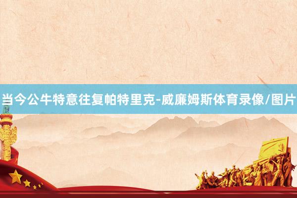 当今公牛特意往复帕特里克-威廉姆斯体育录像/图片