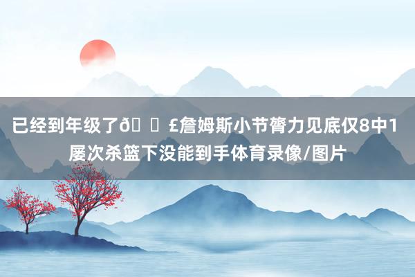已经到年级了😣詹姆斯小节膂力见底仅8中1 屡次杀篮下没能到手体育录像/图片