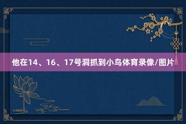 他在14、16、17号洞抓到小鸟体育录像/图片