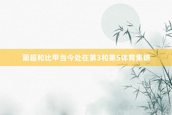葡超和比甲当今处在第3和第5体育集锦