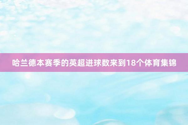 哈兰德本赛季的英超进球数来到18个体育集锦