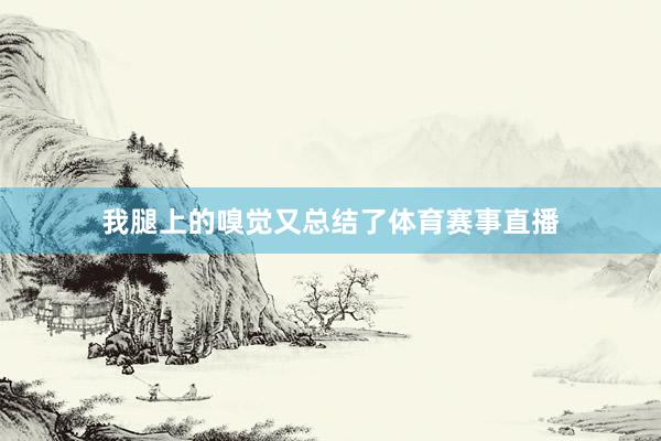 我腿上的嗅觉又总结了体育赛事直播