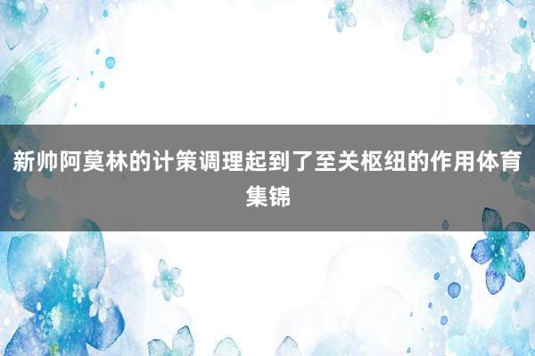 新帅阿莫林的计策调理起到了至关枢纽的作用体育集锦