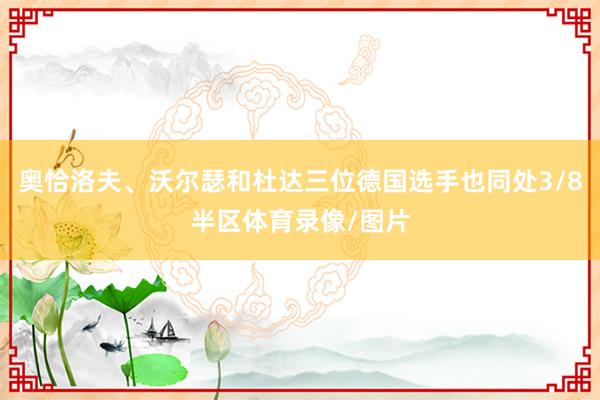 奥恰洛夫、沃尔瑟和杜达三位德国选手也同处3/8半区体育录像/图片