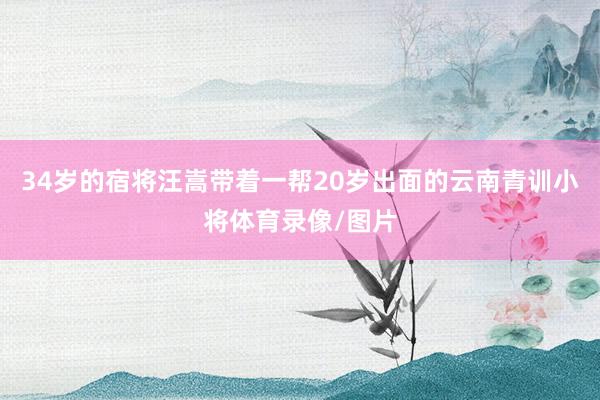 34岁的宿将汪嵩带着一帮20岁出面的云南青训小将体育录像/图片
