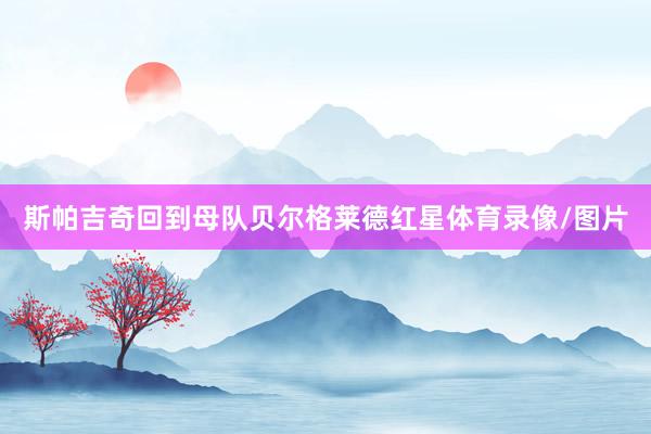 斯帕吉奇回到母队贝尔格莱德红星体育录像/图片