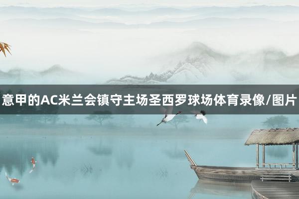 意甲的AC米兰会镇守主场圣西罗球场体育录像/图片