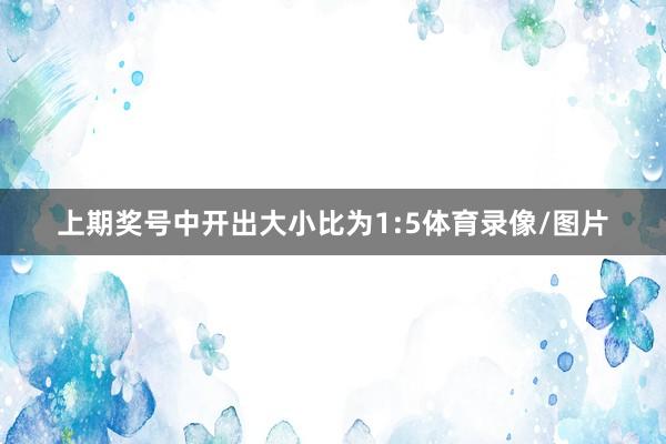 上期奖号中开出大小比为1:5体育录像/图片