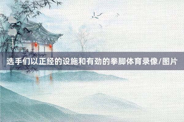 选手们以正经的设施和有劲的拳脚体育录像/图片