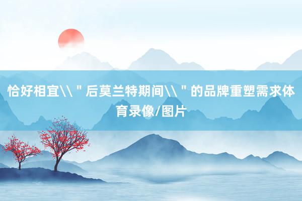 恰好相宜\＂后莫兰特期间\＂的品牌重塑需求体育录像/图片