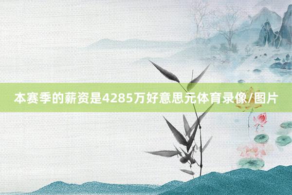 本赛季的薪资是4285万好意思元体育录像/图片