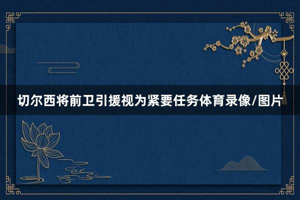 切尔西将前卫引援视为紧要任务体育录像/图片