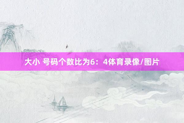大小 号码个数比为6：4体育录像/图片