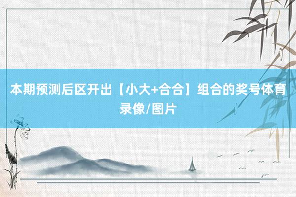 本期预测后区开出【小大+合合】组合的奖号体育录像/图片