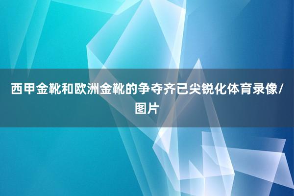 西甲金靴和欧洲金靴的争夺齐已尖锐化体育录像/图片