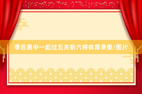 季后赛中一起过五关斩六将体育录像/图片