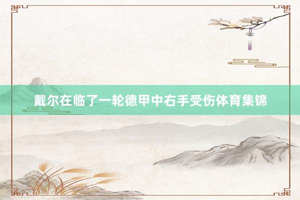 戴尔在临了一轮德甲中右手受伤体育集锦