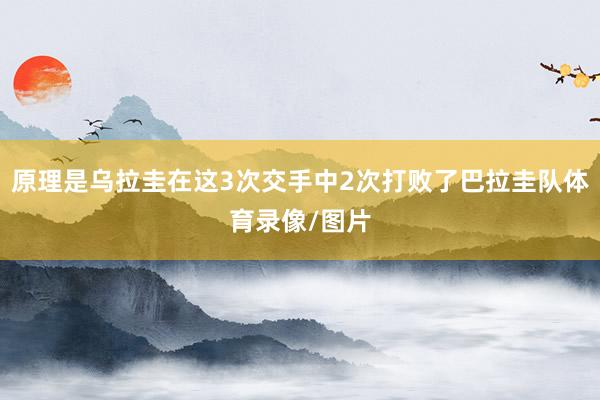 原理是乌拉圭在这3次交手中2次打败了巴拉圭队体育录像/图片