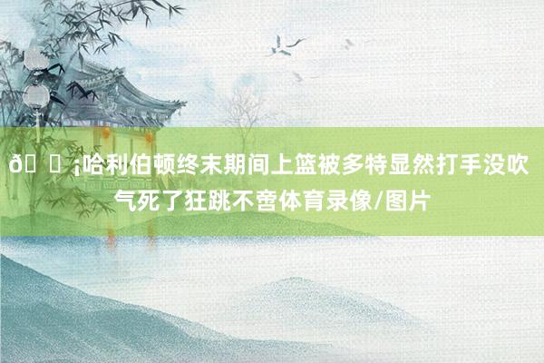 😡哈利伯顿终末期间上篮被多特显然打手没吹 气死了狂跳不啻体育录像/图片