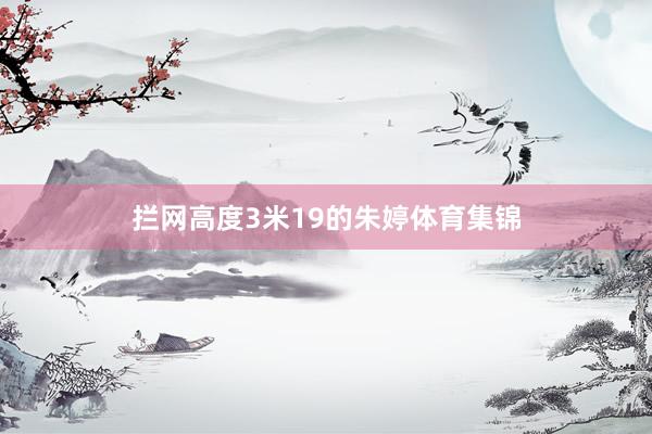 拦网高度3米19的朱婷体育集锦