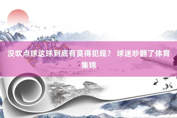 没吹点球这球到底有莫得犯规？ 球迷吵翻了体育集锦