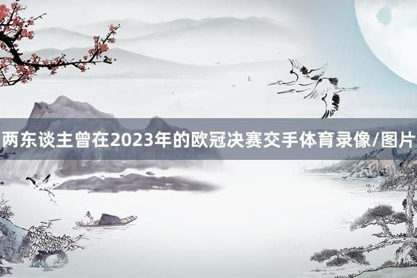 两东谈主曾在2023年的欧冠决赛交手体育录像/图片