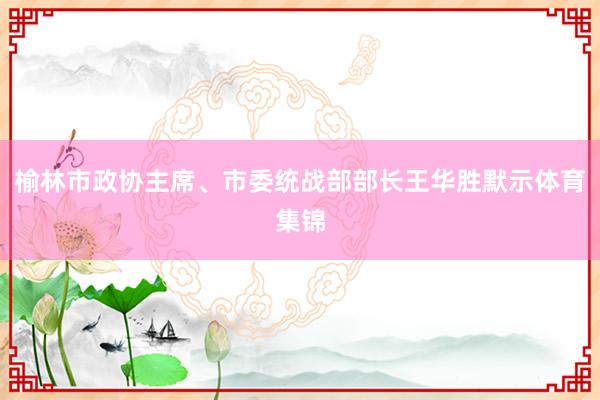 榆林市政协主席、市委统战部部长王华胜默示体育集锦