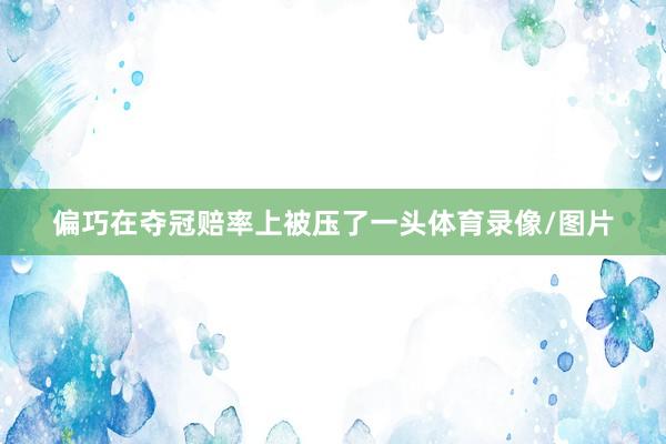 偏巧在夺冠赔率上被压了一头体育录像/图片