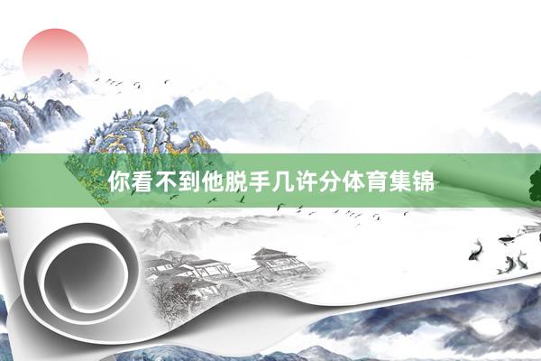 你看不到他脱手几许分体育集锦