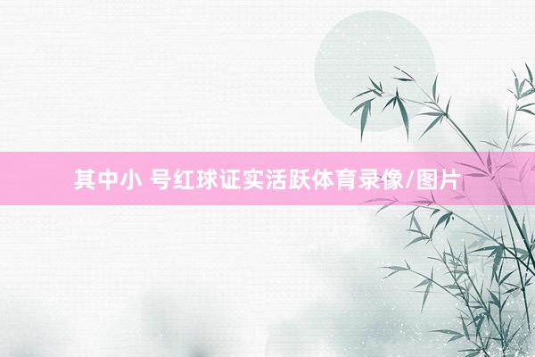 其中小 号红球证实活跃体育录像/图片