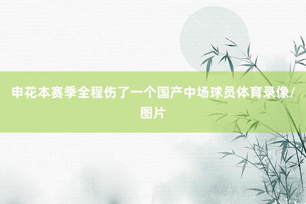 申花本赛季全程伤了一个国产中场球员体育录像/图片