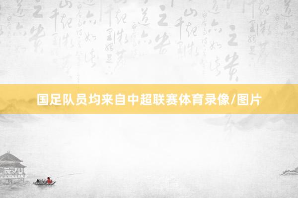国足队员均来自中超联赛体育录像/图片
