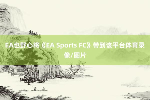 EA也野心将《EA Sports FC》带到该平台体育录像/图片