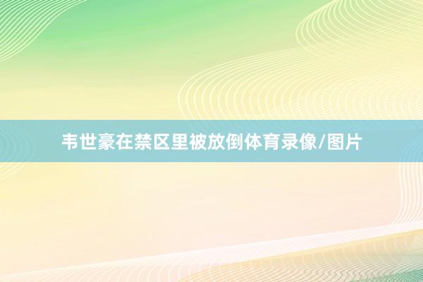 韦世豪在禁区里被放倒体育录像/图片