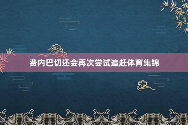 费内巴切还会再次尝试追赶体育集锦