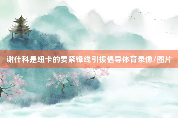 谢什科是纽卡的要紧锋线引援倡导体育录像/图片