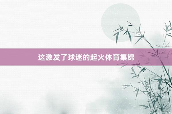 这激发了球迷的起火体育集锦