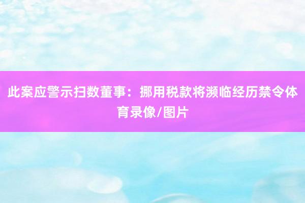 此案应警示扫数董事：挪用税款将濒临经历禁令体育录像/图片